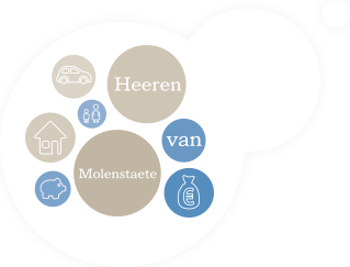 Logo Heeren van Molenstaete